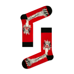 Ανδρικές Κάλτσες Στρουθοκάμηλος 